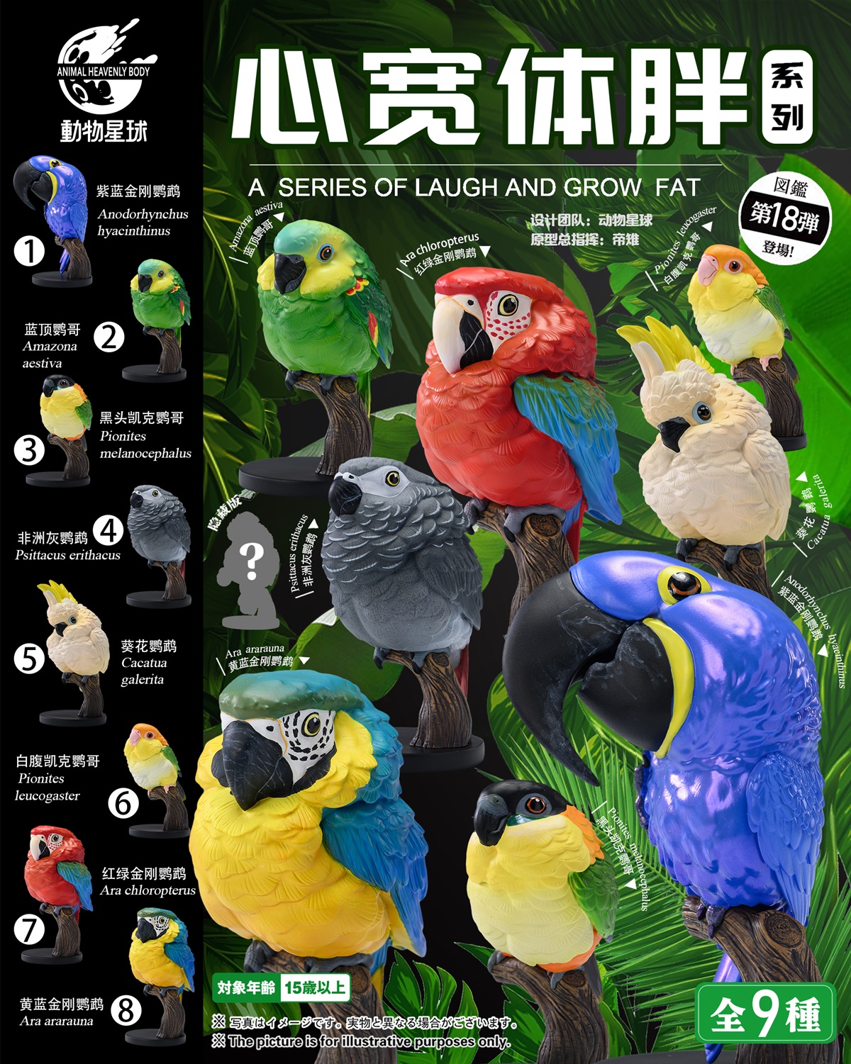 AHB Series 18 / Anodorhynchus hyacinthinus - Hyacinth Macaw / Parrot / Bird