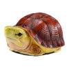 AHB Series 19 / Cuora mccordi - McCord’s Box Turtle / Turtle