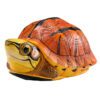 AHB Series 19 / Cuora trifasciata - Chinese Three-striped Box Turtle / Turtle