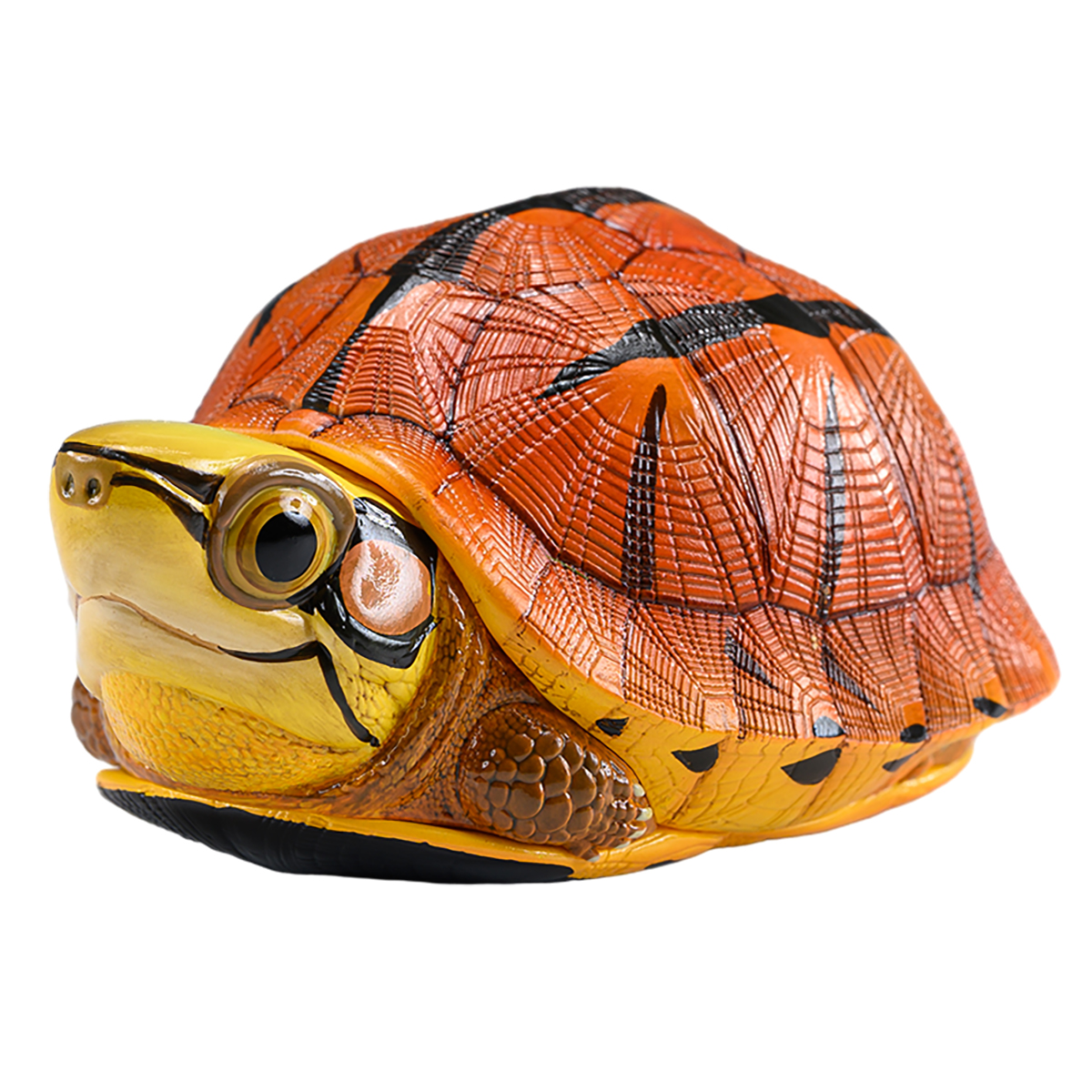 AHB Series 19 / Cuora trifasciata - Chinese Three-striped Box Turtle / Turtle
