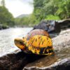 AHB Series 19 / Cuora galbinifrons - Indochinese Box Turtle / Turtle