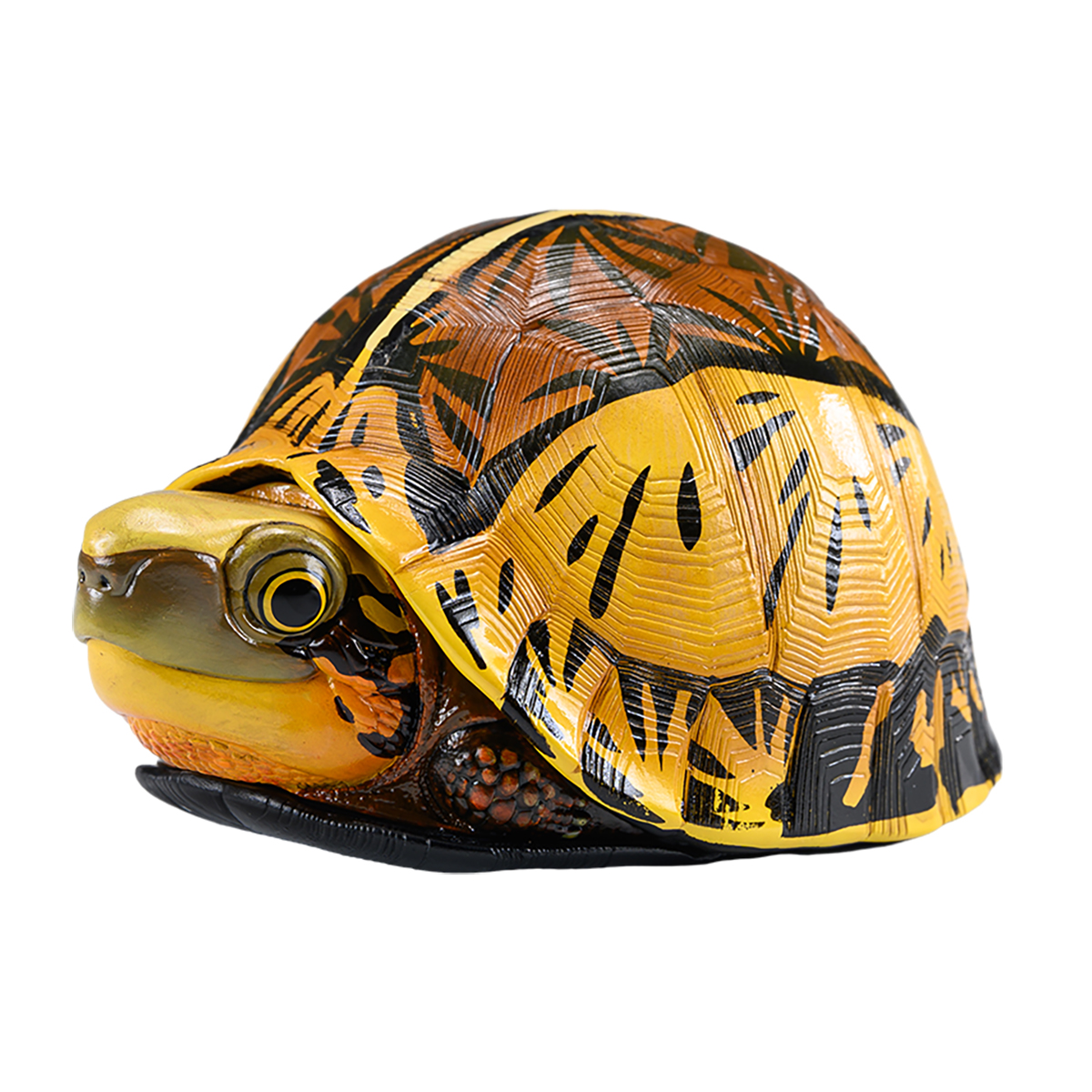 AHB Series 19 / Cuora galbinifrons - Indochinese Box Turtle / Turtle