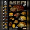 AHB-V8_Poster-3e323f43 AHB Series 8 - Razor-backed Musk Turtle – Sternotherus carinatus | Turtle