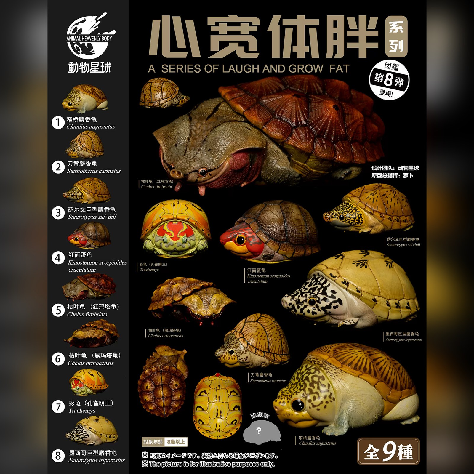 AHB-V8_Poster-3e323f43 AHB Series 8 - Razor-backed Musk Turtle – Sternotherus carinatus | Turtle