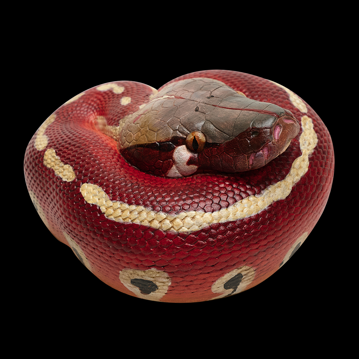 AHB Series 9 / Python brongersmai - Blood Python / Snake