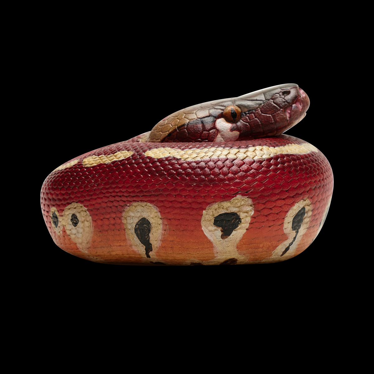 AHB Series 9 / Python brongersmai - Blood Python / Snake