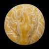 AHB Series 9 / Python molurus bivittatus (Albino) - Albino Burmese Python / Snake