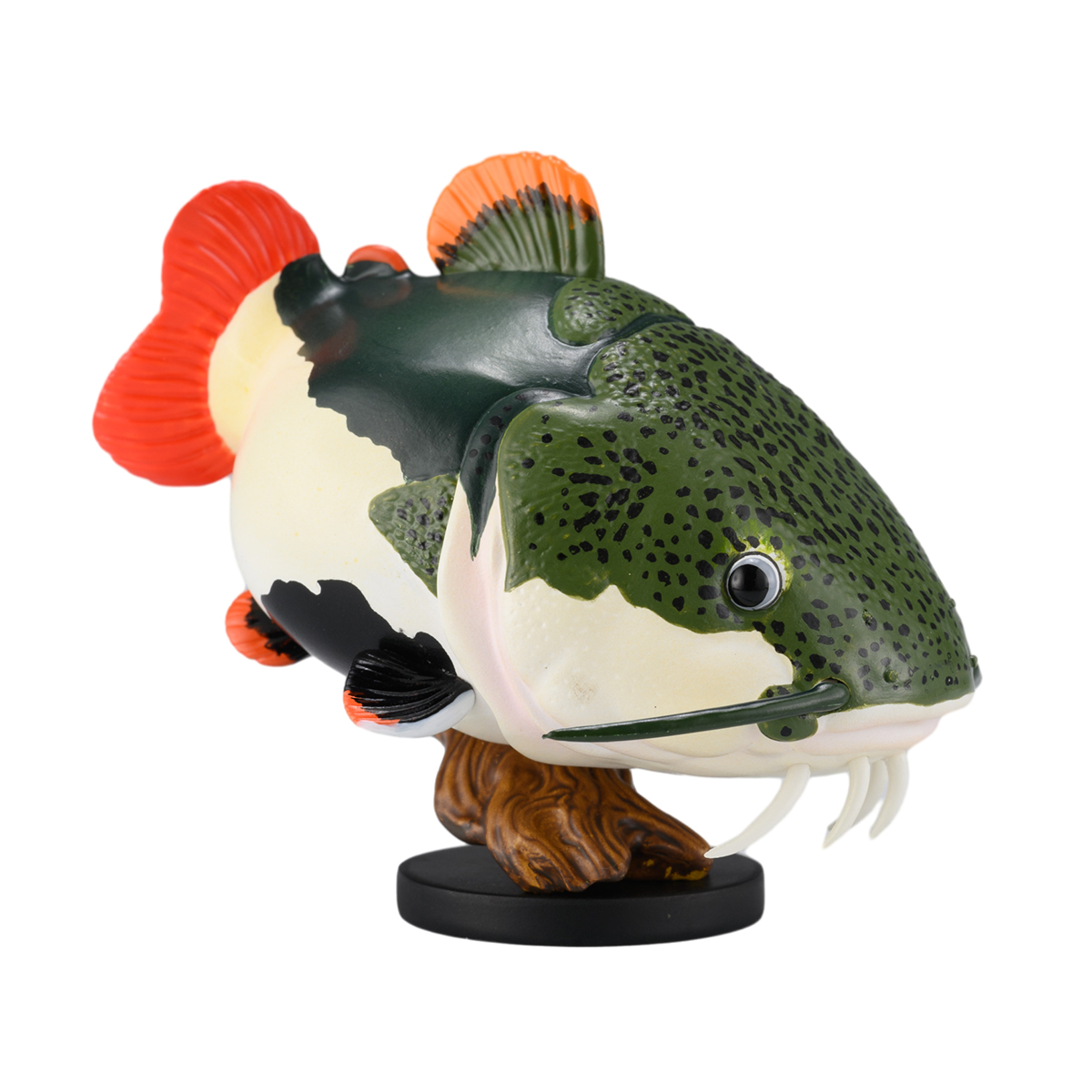 AHB Series 21 / Phractocephalus hemioliopterus / Fish