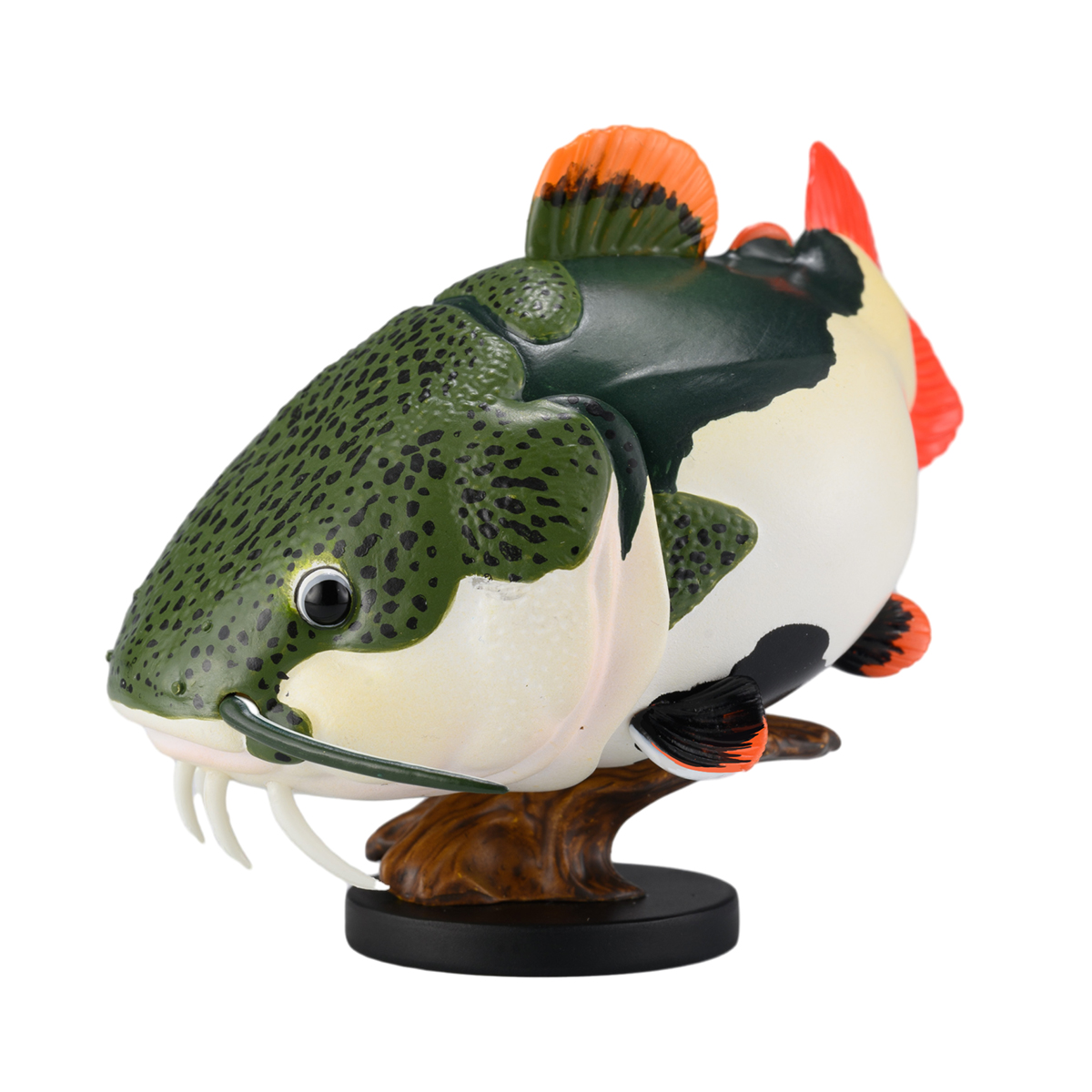 AHB Series 21 / Phractocephalus hemioliopterus / Fish