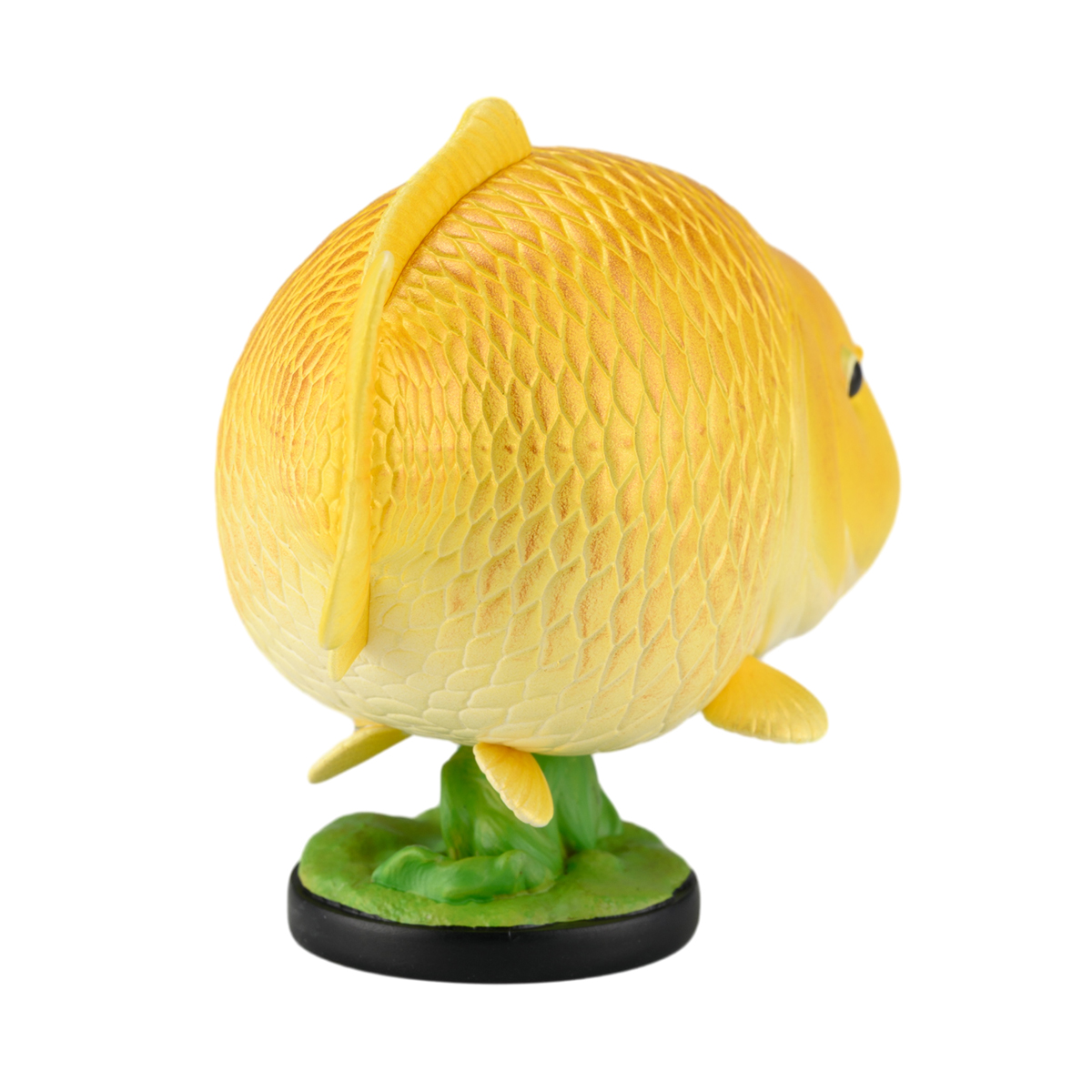AHB Series 21 / Cyprinus carpio (Gold Ogon Koi) / Fish