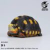 AHB-V22-01-01 AHB Series 22 - Red-footed Tortoise – Geochelone carbonaria | Turtle