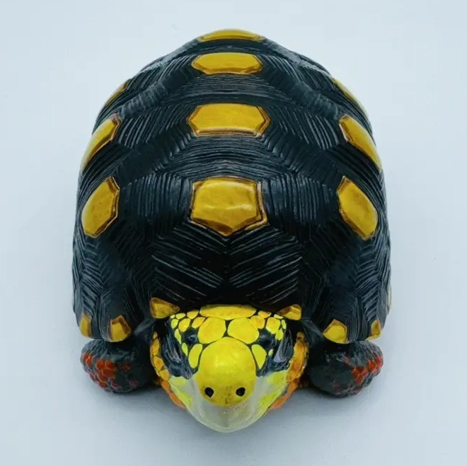AHB-V22-01-03 AHB Series 22 - Red-footed Tortoise – Geochelone carbonaria | Turtle