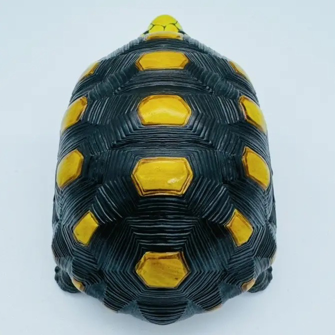 AHB-V22-01-04 AHB Series 22 - Red-footed Tortoise – Geochelone carbonaria | Turtle