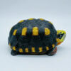 AHB-V22-01-05 AHB Series 22 - Red-footed Tortoise – Geochelone carbonaria | Turtle