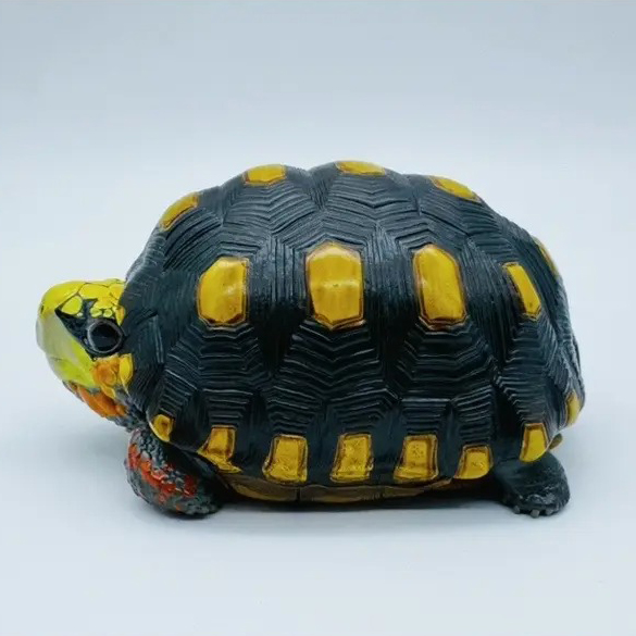 AHB-V22-01-06 AHB Series 22 - Red-footed Tortoise – Geochelone carbonaria | Turtle