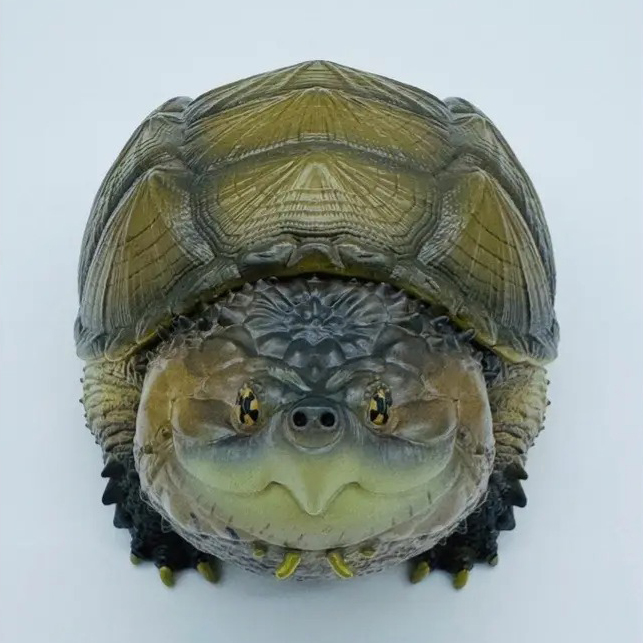 AHB Series 22 - Florida Snapping Turtle – Chelydra serpentina | Turtle
