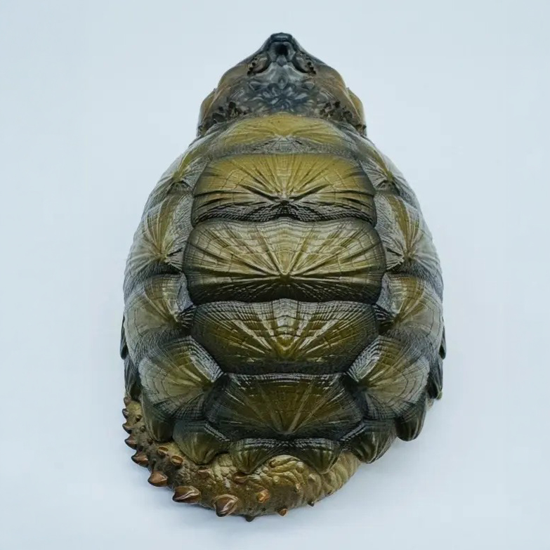 AHB Series 22 - Florida Snapping Turtle – Chelydra serpentina | Turtle