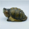 AHB Series 22 - Florida Snapping Turtle – Chelydra serpentina | Turtle