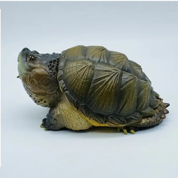 AHB Series 22 - Florida Snapping Turtle – Chelydra serpentina | Turtle