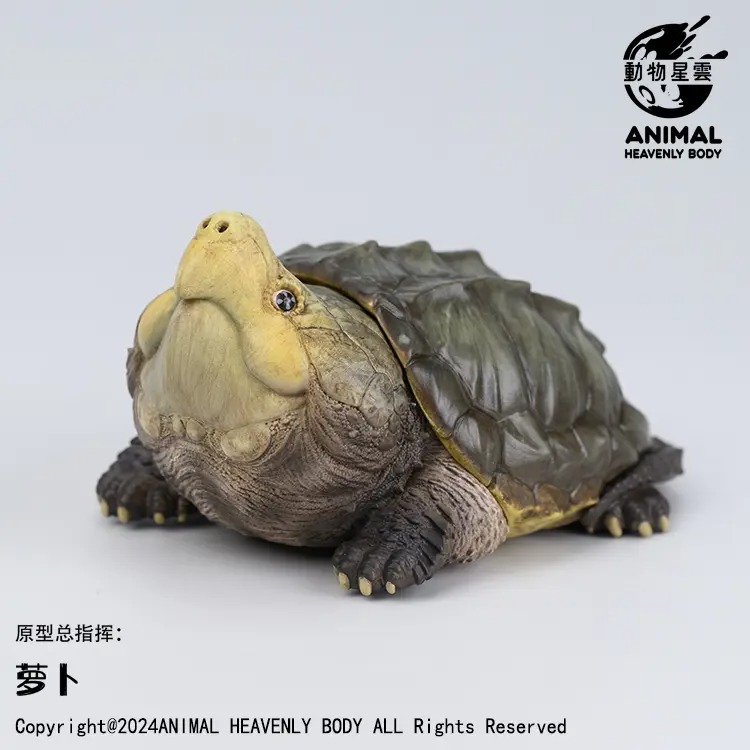 AHB Series 22 - Alligator Snapping Turtle – Macrochelys temminckii | Turtle