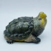AHB Series 22 - Alligator Snapping Turtle – Macrochelys temminckii | Turtle