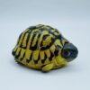 AHB Series 22 - Hermann&rsquo;s Tortoise – Testudo hermanni boettgeri | Turtle