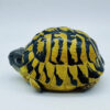 AHB Series 22 - Hermann&rsquo;s Tortoise – Testudo hermanni boettgeri | Turtle