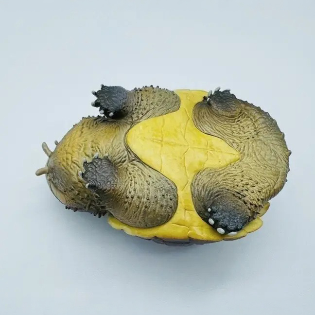 AHB Series 22 - Central American Snapping Turtle – Chelydra rossignonii | Turtle