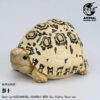 AHB Series 22 - Leopard Tortoise – Stigmochelys pardalis | Turtle