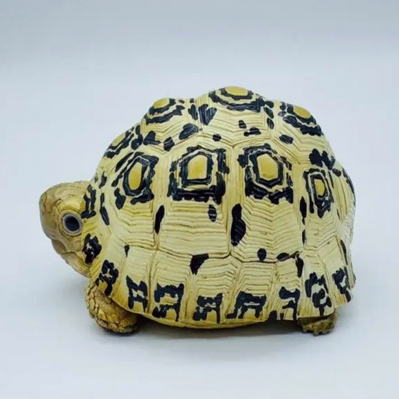AHB Series 22 - Leopard Tortoise – Stigmochelys pardalis | Turtle