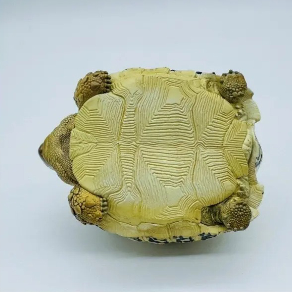 AHB Series 22 - Leopard Tortoise – Stigmochelys pardalis | Turtle