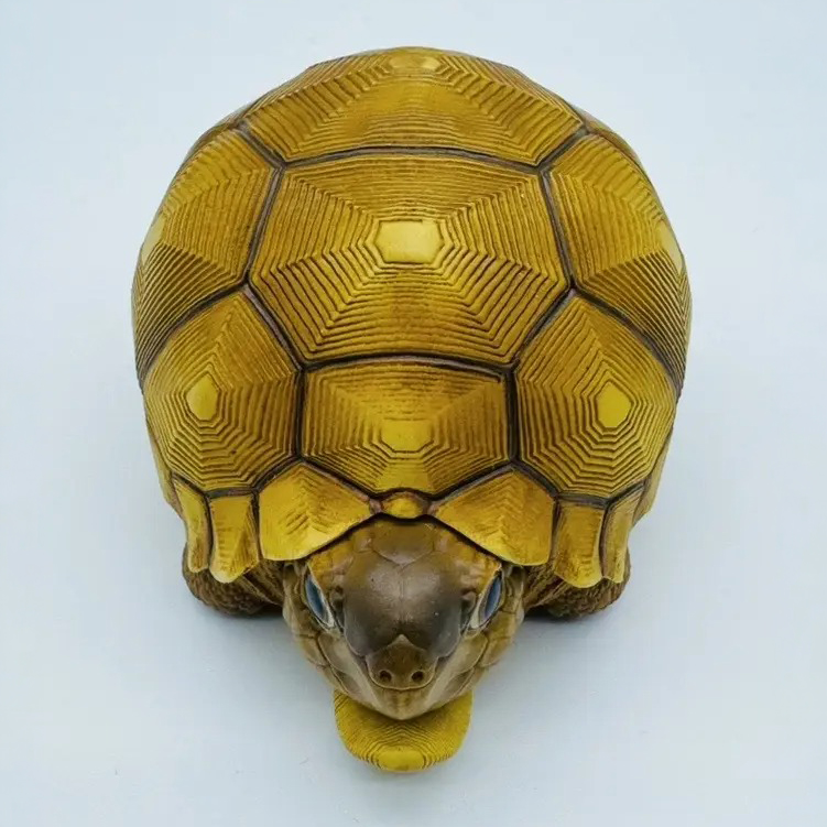 AHB-V22-08-04 AHB Series 22 - Ploughshare Tortoise – Astrochelys yniphora | Turtle