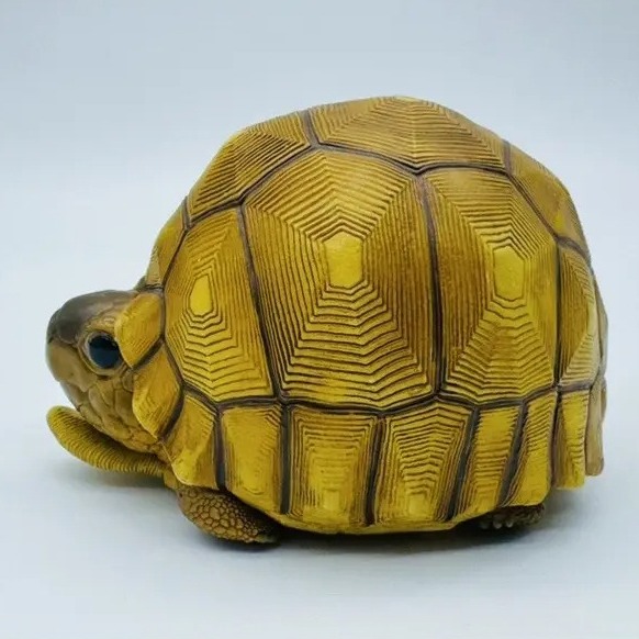 AHB-V22-08-07 AHB Series 22 - Ploughshare Tortoise – Astrochelys yniphora | Turtle