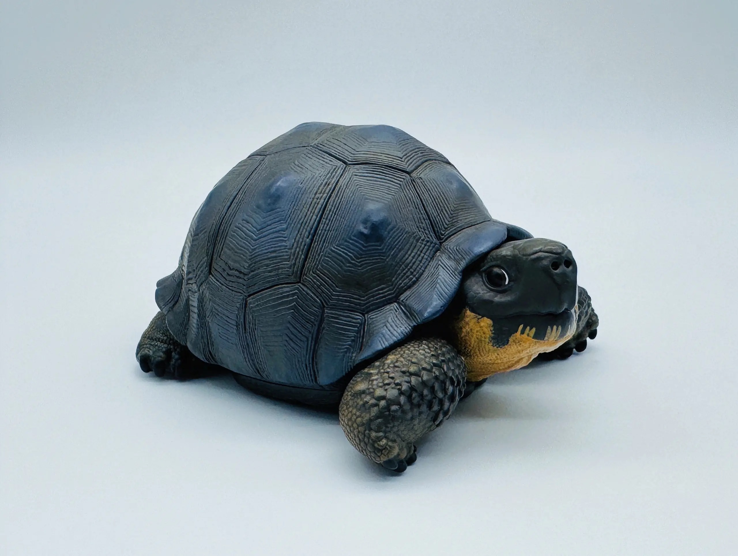 AHB Series 22 - Galapagos Giant Tortoise – Chelonoidis nigra | Turtle