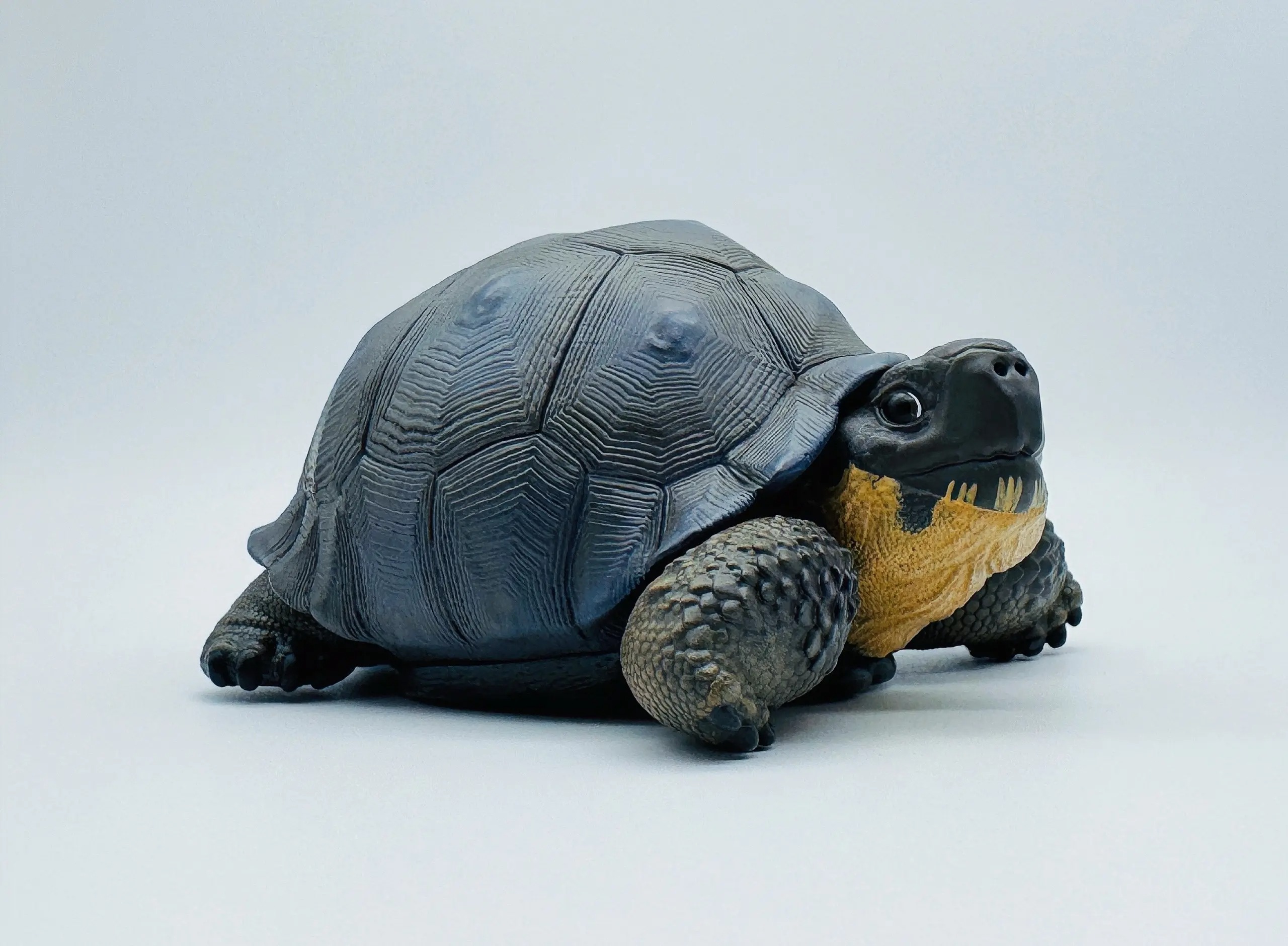 AHB Series 22 - Galapagos Giant Tortoise – Chelonoidis nigra | Turtle
