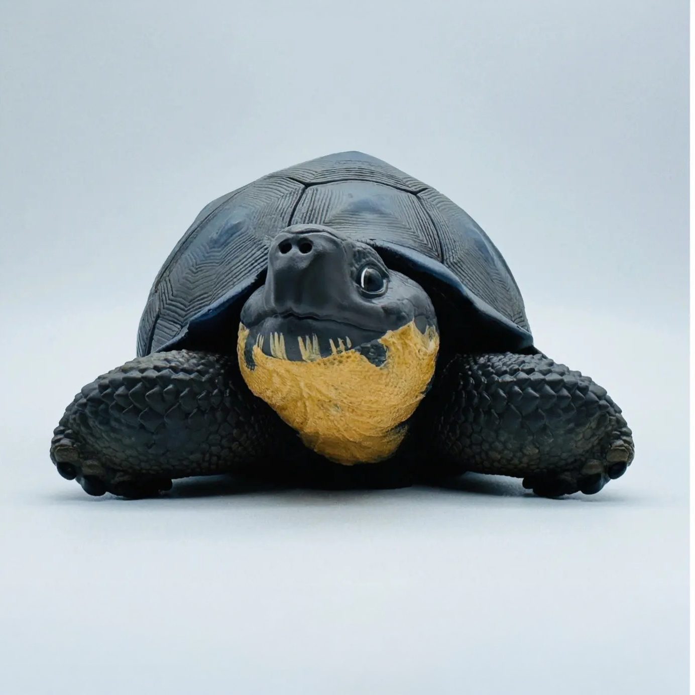 AHB Series 22 - Galapagos Giant Tortoise – Chelonoidis nigra | Turtle