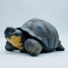 AHB Series 22 - Galapagos Giant Tortoise – Chelonoidis nigra | Turtle