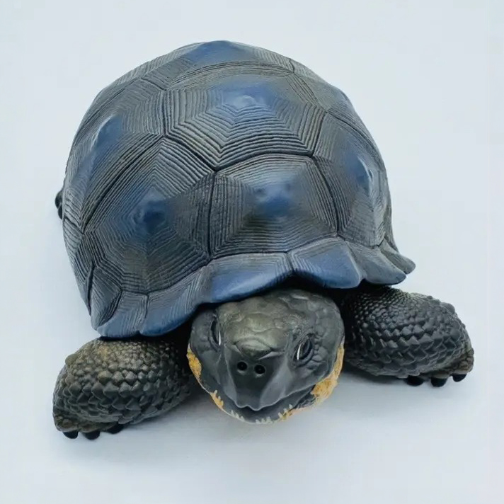 AHB Series 22 - Galapagos Giant Tortoise – Chelonoidis nigra | Turtle