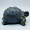 AHB Series 22 - Galapagos Giant Tortoise – Chelonoidis nigra | Turtle