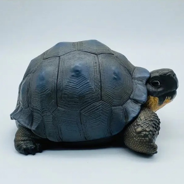 AHB Series 22 - Galapagos Giant Tortoise – Chelonoidis nigra | Turtle
