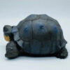 AHB Series 22 - Galapagos Giant Tortoise – Chelonoidis nigra | Turtle