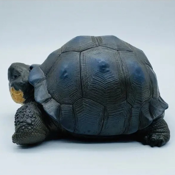 AHB Series 22 - Galapagos Giant Tortoise – Chelonoidis nigra | Turtle