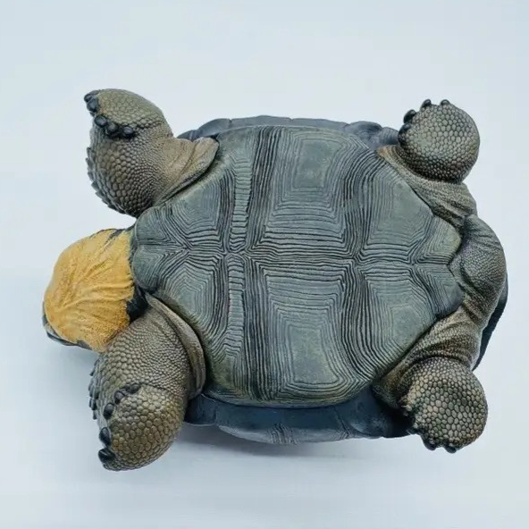 AHB Series 22 - Galapagos Giant Tortoise – Chelonoidis nigra | Turtle