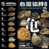AHB-V22-Poster AHB Series 22 - Ploughshare Tortoise – Astrochelys yniphora | Turtle