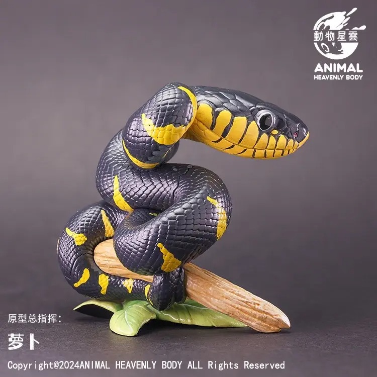 AHB Series 23 - Mangrove Snake – Boiga dendrophila melanota | Snake