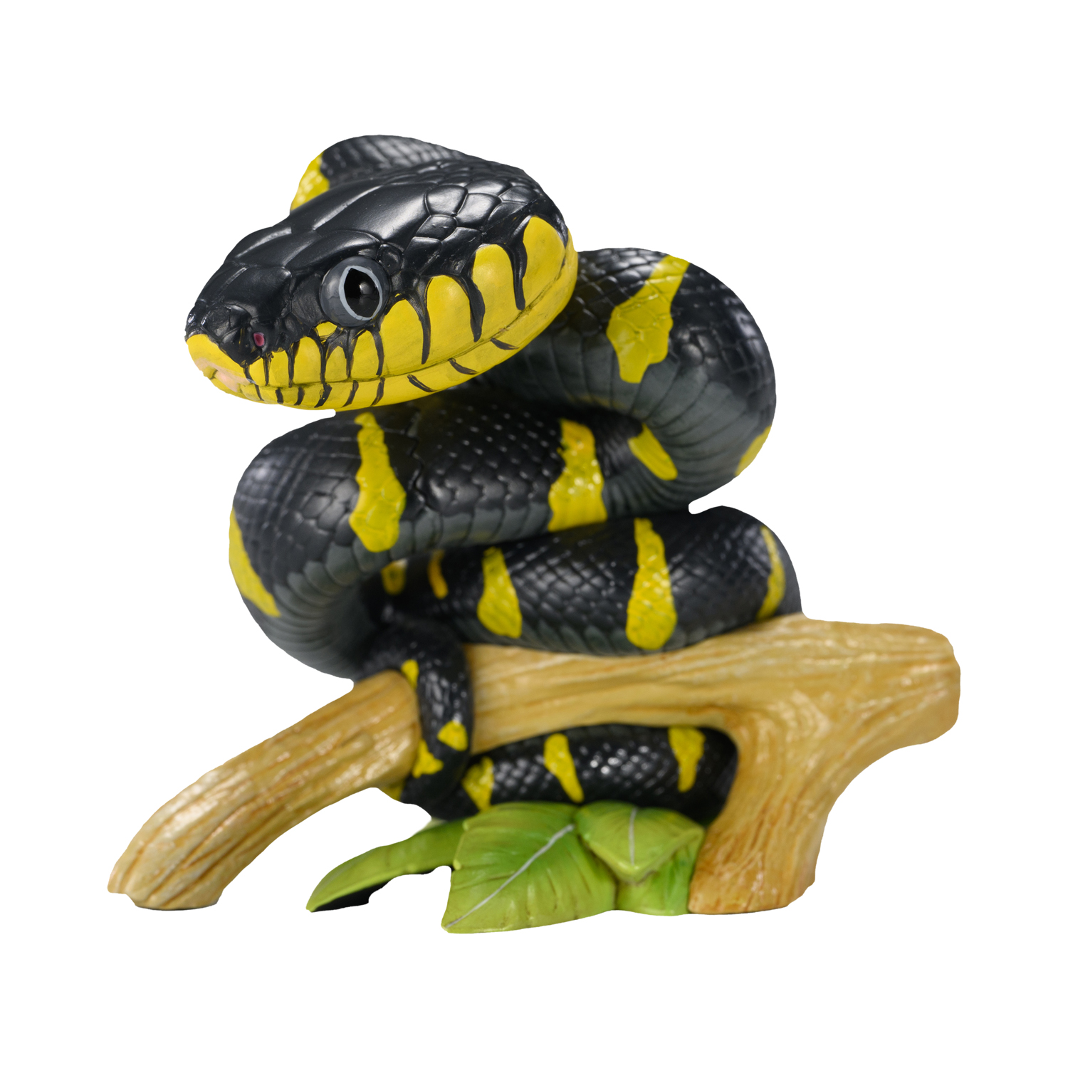 AHB Series 23 - Mangrove Snake – Boiga dendrophila melanota | Snake