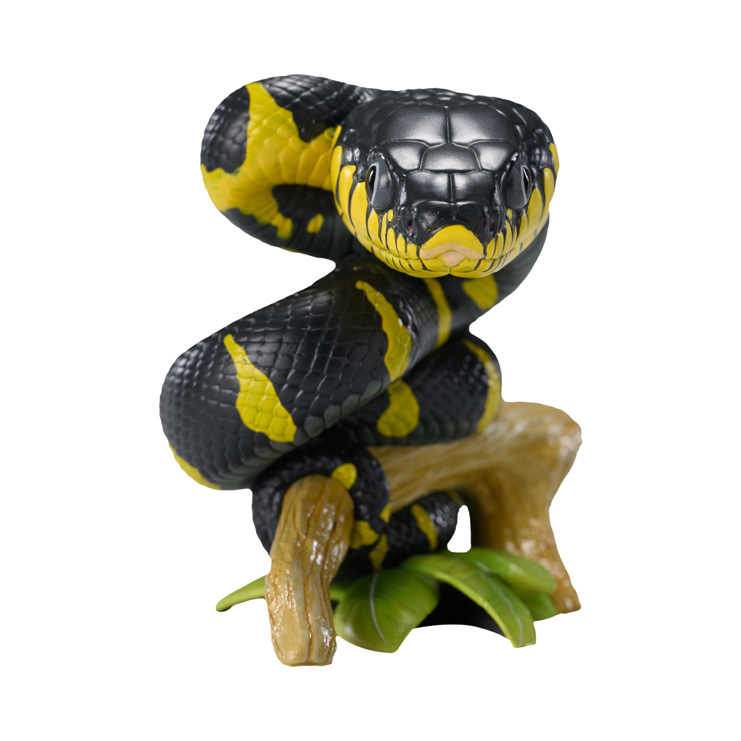 AHB Series 23 - Mangrove Snake – Boiga dendrophila melanota | Snake