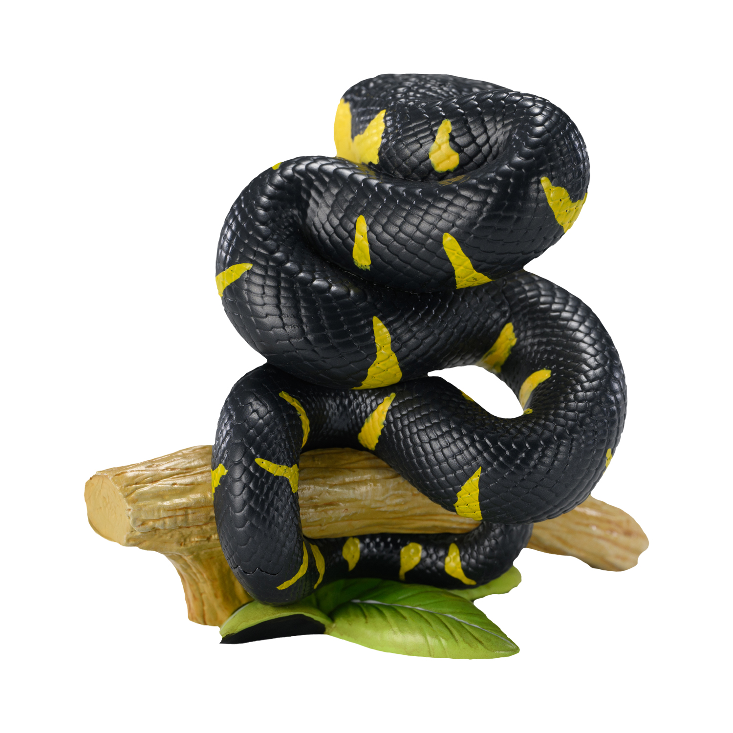 AHB Series 23 - Mangrove Snake – Boiga dendrophila melanota | Snake