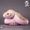 AHB-V23-02-01 AHB Series 23 - Pine Snake – Pituophis melanoleucus | Snake