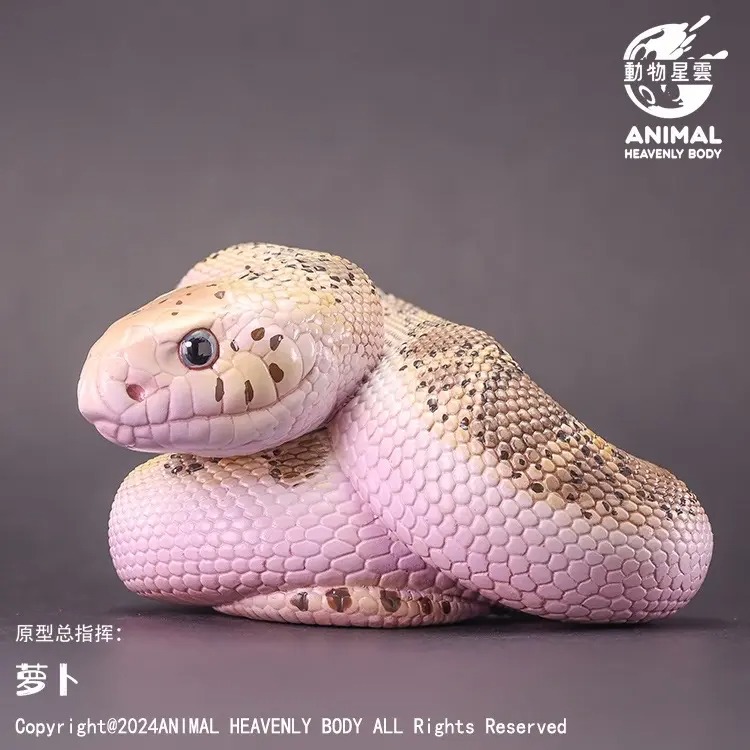 AHB-V23-02-01 AHB Series 23 - Pine Snake – Pituophis melanoleucus | Snake